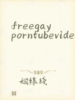 freegayporntubevideos