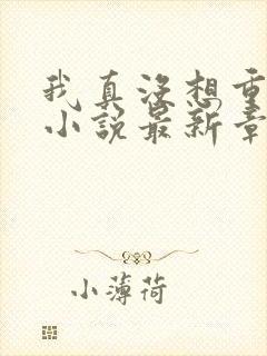 我真没想重生啊小说最新章节阅读封面