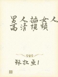 男人插女人下面高清视频