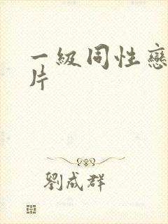 一级同性恋黄色片