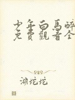 少年白马醉春风免费观看全集高清封面