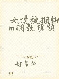 女仆被捆绑着sm调教视频