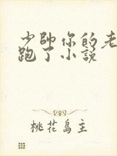 少帅你的老婆又跑了小说封面