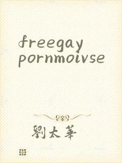 freegaypornmoivse封面