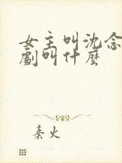 女主叫沈念的短剧叫什么封面