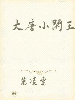 大唐小闲王李恪封面