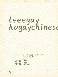 teeegayhogaychinesexxxxvideso