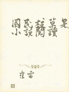 国民校草是女生小说阅读