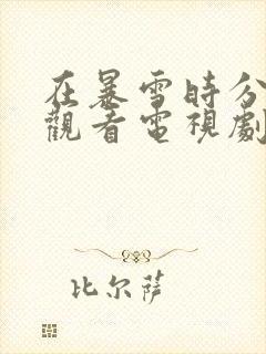 在暴雪时分免费观看电视剧国产剧