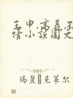 王申,高义,孙倩小说图文在线阅读