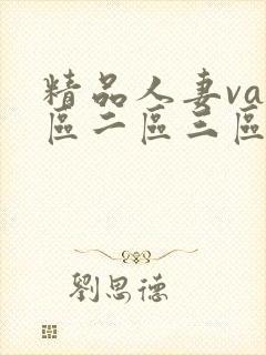 精品人妻va一区二区三区