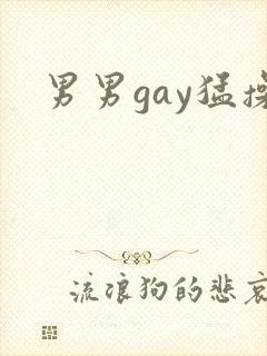 男男gay猛操