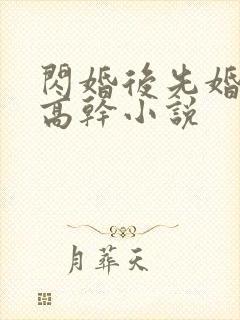 闪婚后先婚后爱高干小说