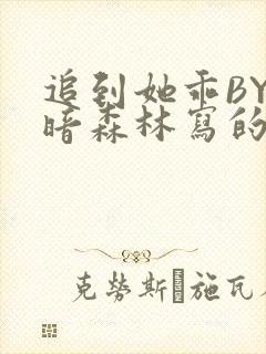 追到她乖BY黑暗森林写的小说