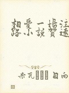 相爱一场注定陌路小说贺远舟全文阅读