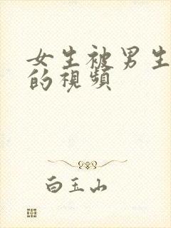 女生被男生操爽的视频