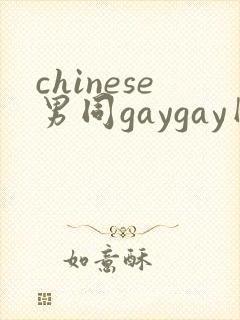 chinese男同gaygay网站