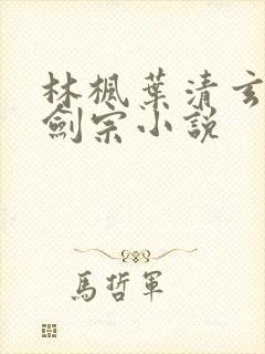 林枫叶清玄神霄剑宗小说