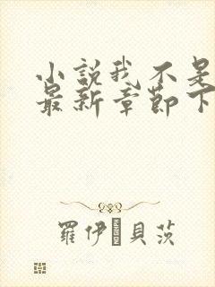 小说我不是戏神最新章节下载