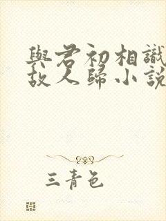 与君初相识恰似故人归小说原著