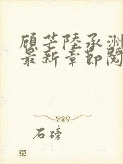 顾芒陆承洲小说最新章节阅