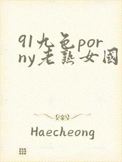 91九色porny老熟女国产