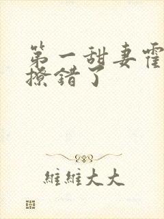 第一甜妻霍先生撩错了