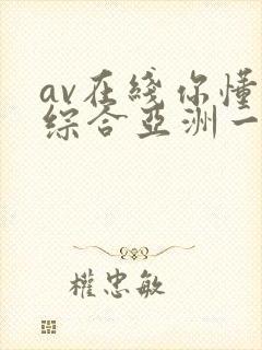 av在线你懂的综合亚洲一区