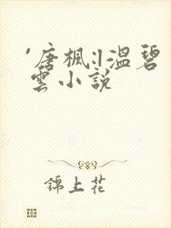 `唐枫:l温碧云小说