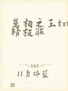 万相之王txt精校版