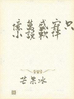 亿万盛宠只为你小说软件封面