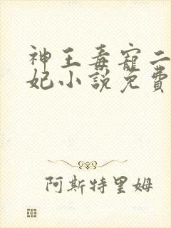 神王毒宠二嫁王妃小说免费阅读