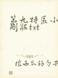 第九特区小说未删版txt