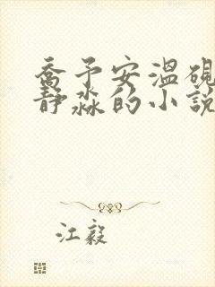 乔予安温砚深沈静淼的小说名字