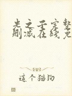 光之子完整版未删减在线免费观看封面