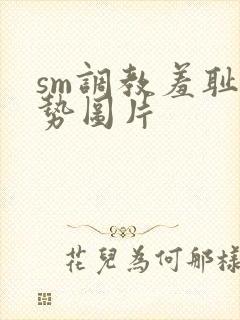 sm调教羞耻姿势图片