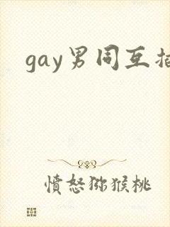 gay男同互插