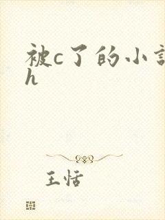 被c了的小说高h