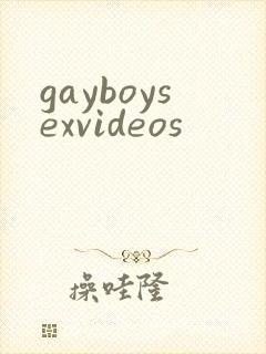gayboysexvideos封面