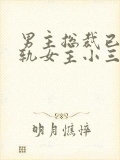 男主总裁已婚出轨女主小三上位