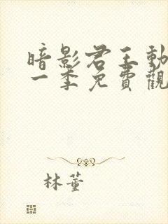 暗影君王动漫第一季免费观看