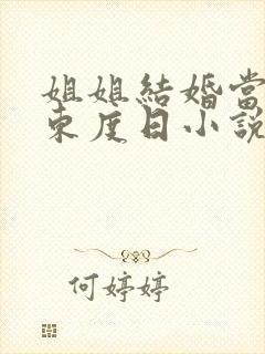 姐姐结婚当晚 东度日小说