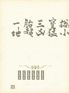 一胎三宝总裁爹地超凶猛小说封面