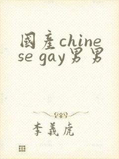 国产chinese gay男男