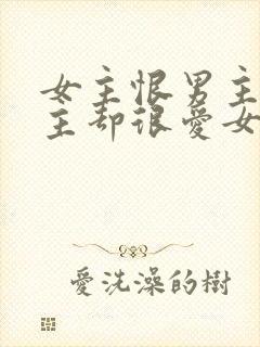 女主恨男主但男主却很爱女主的小说