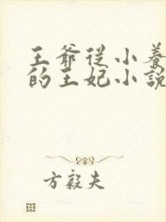 王爷从小养到大的王妃小说