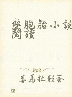 双胞胎小说免费阅读