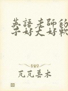 英语老师的小兔子好大好软水