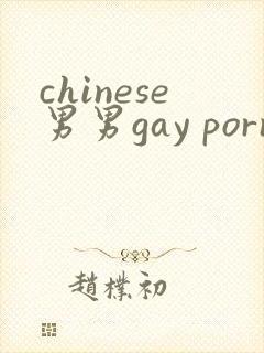 chinese男男gay porn网站封面