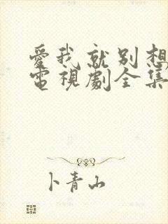 爱我就别想太多电视剧全集完整版封面